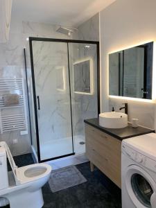 uma casa de banho com um chuveiro, um WC e um lavatório. em Lumineux appartement Capitole plein centre em Toulouse