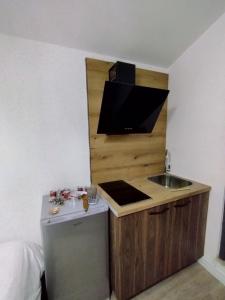 Kuchyň nebo kuchyňský kout v ubytování Illyrian studio Tirana