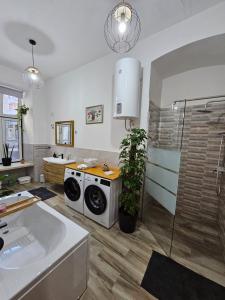 ein Badezimmer mit einer Waschmaschine und einem Waschbecken in der Unterkunft Villa Münz Apartment Franz in Pula