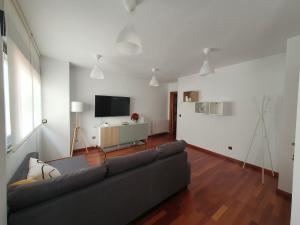 sala de estar con sofá y TV de pantalla plana en Casa Aguiar, en Zamora