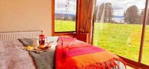 sypialnia z łóżkiem ze stołem i oknem w obiekcie Habitación doble en Parcela en Lago Ranco w mieście Lago Ranco