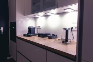 Kuchyň nebo kuchyňský kout v ubytování Erwachsenenhotel BDSM Apartment Hotel Emotion Apartments mit privater Sauna und Whirlpool + 8 fotografií