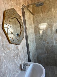W łazience znajduje się prysznic, umywalka i lustro. w obiekcie Top Floor Executive apartment w Kapsztadzie