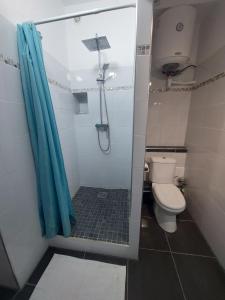 a bathroom with a shower and a toilet at Perle proche gare maritime et croisières in Pointe-à-Pitre