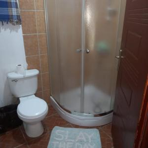 a bathroom with a shower and a toilet and a rug at TOnat Caribe Hostel in West End