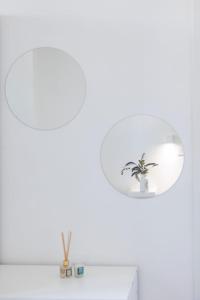 a white room with a potted plant and a light fixture at Essentia Rooms & Relax in Vasto