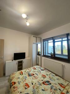 Comfort Class Apartment