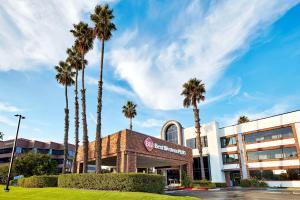 a building with palm trees in front of it at Best Western Plus Meridian Inn & Suites, Anaheim-Orange in Orange