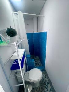 een blauwe en witte badkamer met een toilet en een plant bij Hostal Pochote in León