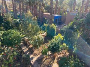 an overhead view of a garden with trees and bushes at Ecolodge du Draa in Ouled Otmane