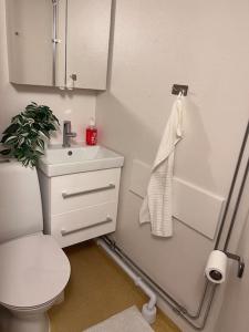 a bathroom with a white toilet and a sink at Lägenhet med egen ingång. in Sundsvall