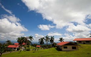 a group of houses and palm trees on a hill at Villas y Cataratas Maquengue Falls in Siquirres