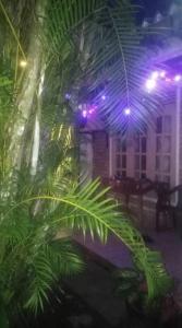 a room with palm trees and purple lights at Piyo Vida Guesthouse in Ahangama