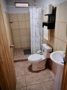 ein Bad mit einem WC und einem Waschbecken in der Unterkunft Rustika Logde in Puerto Viejo
