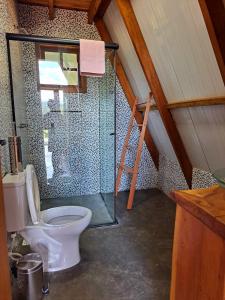 La salle de bains est pourvue de toilettes et d'une douche en verre. dans l'établissement Chalés Roma, à Santo Antônio do Pinhal