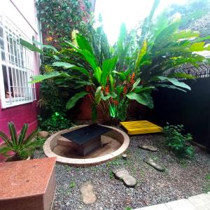 O grădină în afara Linda Casa, super espaçosa e charmosa no coração de Botafogo