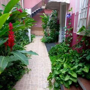 O grădină în afara Linda Casa, super espaçosa e charmosa no coração de Botafogo +20 fotografii