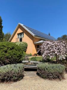 菲茨罗伊历史之地米塔贡住宿加早餐旅馆外面的花园