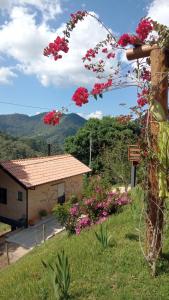 a view of a house with flowers in a field at Sonho na Serra Chalé 2 in Gonçalves