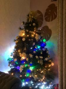 ein Weihnachtsbaum mit blauen und grünen Lichtern in der Unterkunft Almagicama in Villa Serrana