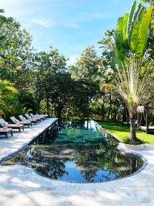 a pool with chairs and a palm tree in a park at Villa Coco in Santa Catalina