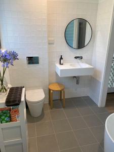 a bathroom with a sink and a toilet and a mirror at Lorne Groovy Ocean View Log House, Pet Friendly, FREE WIFI wine & chocolates kangaroos in the evening in Lorne