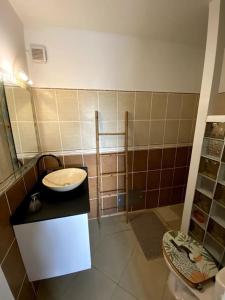 een badkamer met een wastafel en een toilet bij Appartement T2 - vue campagne in Le Robert
