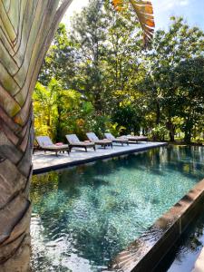 una piscina con tumbonas y una fuente en Villa Coco en Santa Catalina