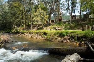 a river with a waterfall in a forest at Bright Cabin Park in Bright