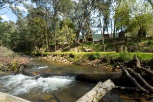 a river with rapids in a field with trees at Bright Cabin Park in Bright