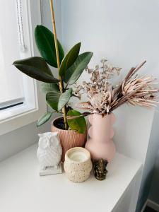 a white shelf with vases and plants on it at Queenstown Mountain Getaway in Queenstown