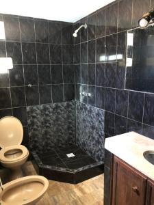 ein schwarz gefliestes Bad mit einem WC und einer Dusche in der Unterkunft Casa con piscina, Mar del Plata, solo familias! in Mar del Plata