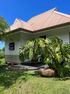 une maison avec un palmier en face dans l'établissement Fare APE BUNGALOW F3 Atypical local style, à Fa'a'ā