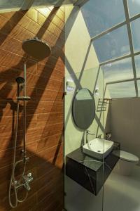 大叻的住宿－THE ELITE HOTEL，一间带水槽、镜子和淋浴的浴室