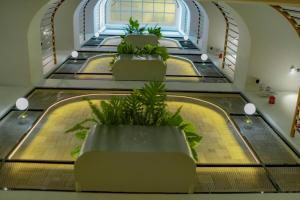 Foto sihtkohas Đà Lạt asuva majutusasutuse THE ELITE HOTEL galeriist