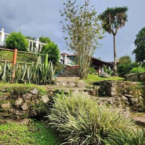 una casa sentada en la cima de una colina con plantas en Rincón del colibrí/casa campestre/piscina/la vega, en La Vega