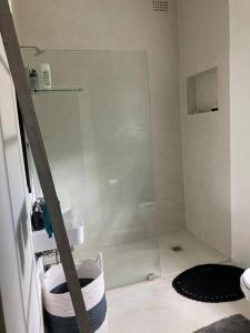 a bathroom with a shower with a glass door at Morningside Studio apartment, load shedding proof in Cape Town