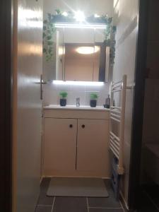 a small kitchen with a sink and a refrigerator at APPT Cosy entier avec piscine in Toulouse
