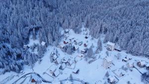 uma vista aérea de uma pequena aldeia coberta de neve em KopanikTreskaPotok15e em Kopaonik
