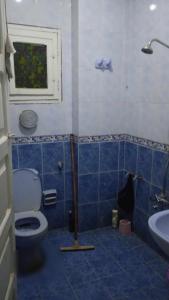 Aswan Fully furnished apartment اسوان- امتداد العقاد في أسوان: حمام من البلاط الأزرق مع مرحاض ومغسلة