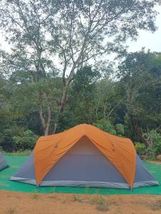an orange and gray tent in front of trees at Nature river camp in Madikeri