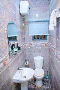 ein kleines Bad mit WC und Waschbecken in der Unterkunft ERiTH APARTMENT & SUITES in Ikeja