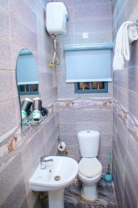 a small bathroom with a toilet and a sink at ERiTH APARTMENT & SUITES in Ikeja