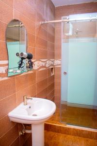伊凱賈的住宿－ERiTH APARTMENT & SUITES，一间带水槽和淋浴的浴室