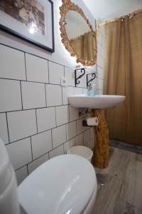 a bathroom with a toilet and a sink and a mirror at Finca pajaritos in Las Palmas de Gran Canaria