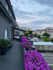 un balcón con flores púrpuras en un edificio en Günstiges Privatzimmer en Lörrach