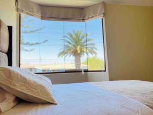 ein Schlafzimmer mit einem großen Fenster mit einer Palme in der Unterkunft Hermosa Casa completa en Arequipa 