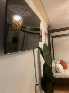 a room with a mirror and a bed and a plant at COSY STUDIO APARTMENT CENTRALLY-LOCATED LOCATED IN SOUTH B WITH LIFTS AND FREE PARKING in Nairobi