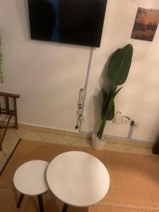 a room with two white tables and a potted plant at COSY STUDIO APARTMENT CENTRALLY-LOCATED LOCATED IN SOUTH B WITH LIFTS AND FREE PARKING in Nairobi