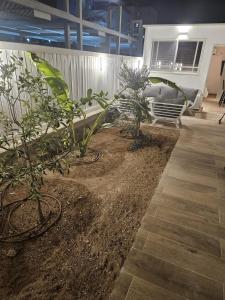 Zahrada ubytování יחידת סאן סנטר באילת